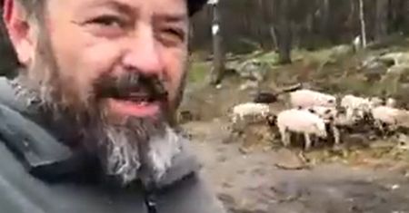 Ukrainiec pokazał "nieoczekiwany" skutek wojny. Nagranie z okolic Kijowa