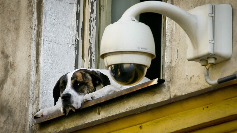 Wizerunek złodzieja został utrwalony przez kamerę monitoringu zamontowaną na domu