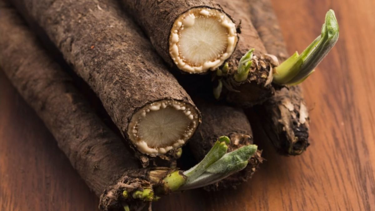 Skorzonera posiada bardzo wiele właściwości prozdrowotnych. 