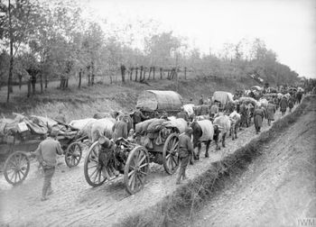 Jesteś ekspertem od historii? Sprawdź się w krzyżówce o I wojnie światowej