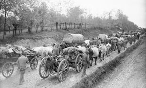 Jesteś ekspertem od historii? Sprawdź się w krzyżówce o I wojnie światowej