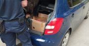 Białystok: Po zatrzymaniu jednego dilera policja namierzyła jeszcze dwóch