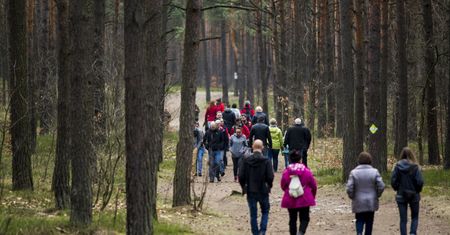 Najnowsza pogoda. Nareszcie zagościł wyż Ingo