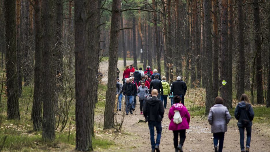 reporter9_baza28.03.2016 Olsztyn pod Czestochowa, zdjecia ilustracyjne Fot. Jakub Wosik/REPORTERJAKUB WOSIK/REPORTER