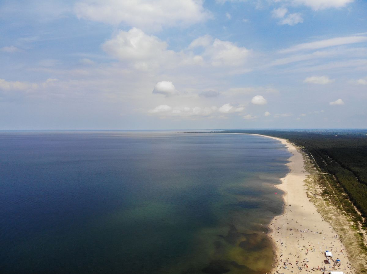 Wyspa Sobieszewska to kameralny raj dla miłośników przyrody 