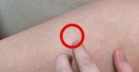 Kobiety idą na imprezę i wracają z czymś takim. Zatrzymano dwóch mężczyzn