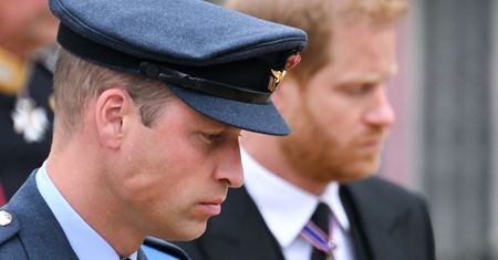 Już nawet przyjaciele Williama mają dosyć Harry'ego? Dwusłowny atak na brata