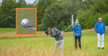 Muszka uratowała miliony golfiście? Ten filmik obiegł sieć