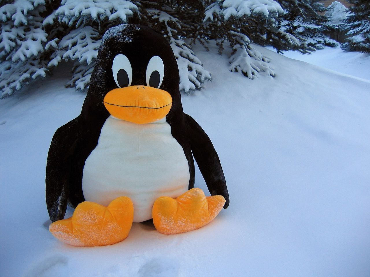 Nowy Linux może gwałtownie przyspieszyć sieci i uruchamianie programów