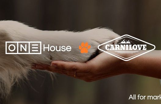 Koty Martyny Wojciechowskiej reklamują Carnilove