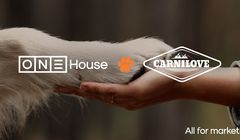 Koty Martyny Wojciechowskiej reklamują Carnilove