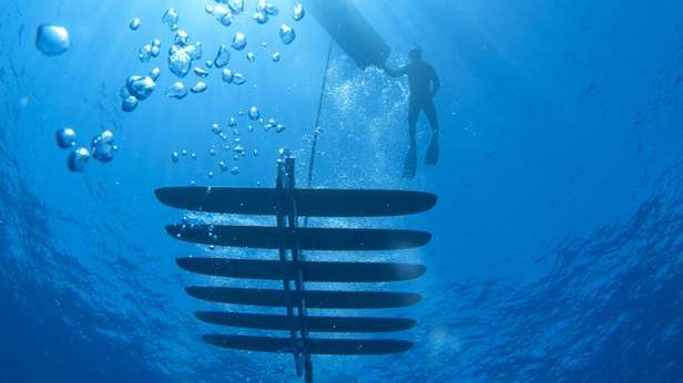 Autonomiczne, pływające roboty rozpoczęły misję w wodach Pacyfiku. Co będą robić? 1