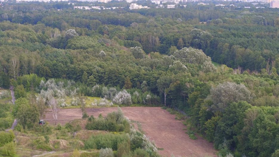 Warszawa. Teren bylej bazy rakierowej w okolicy Fortu Bemowo i rezerwatu Losiowe Blota wykarczowany przez dewelopera wbrew planowi zagospodarowania przestrzennego, 09.2020 r.