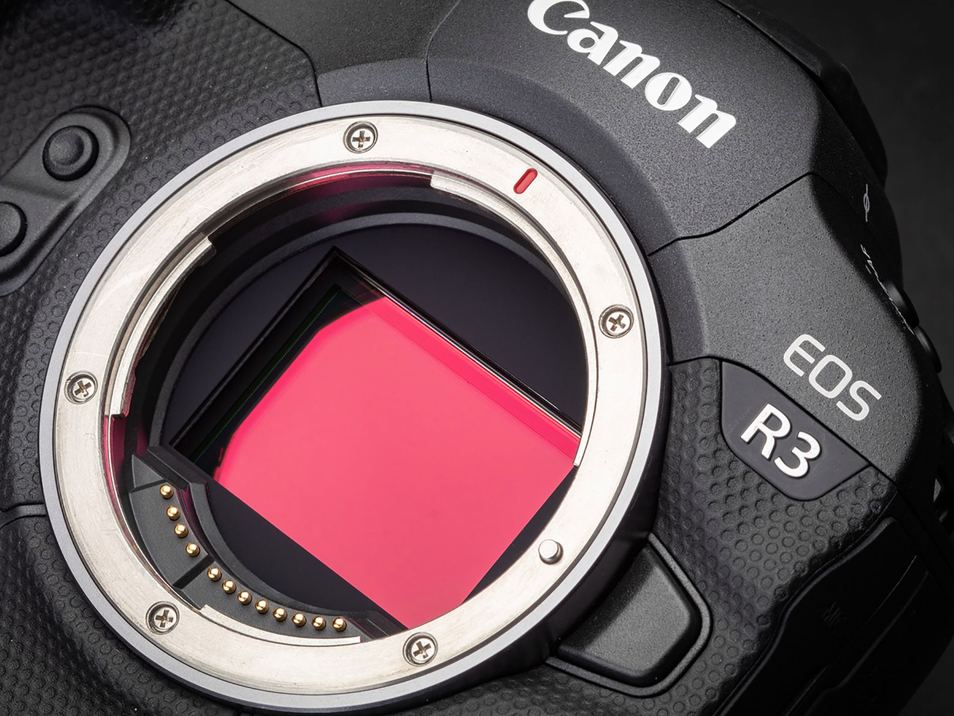 Canon EOS R3 zrobi 195 kl./s. Wystarczy jedna aktualizacja oprogramowania 1