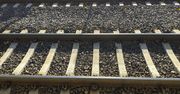 Dobrzyń: Pociąg Intercity Olsztyn - Kraków uderzył w zwisające drzewo