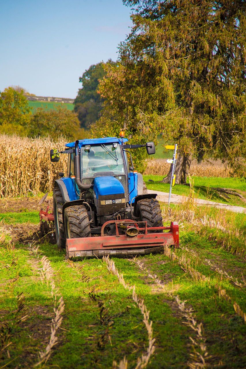Rolnictwo ekologiczne rośnie w siłę. Polska z rekordowym przyrostem upraw bio