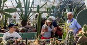 Ogród Botaniczny w bydgoskim Myślęcinku zaprasza mieszkańców na bezpłatne zwiedzanie