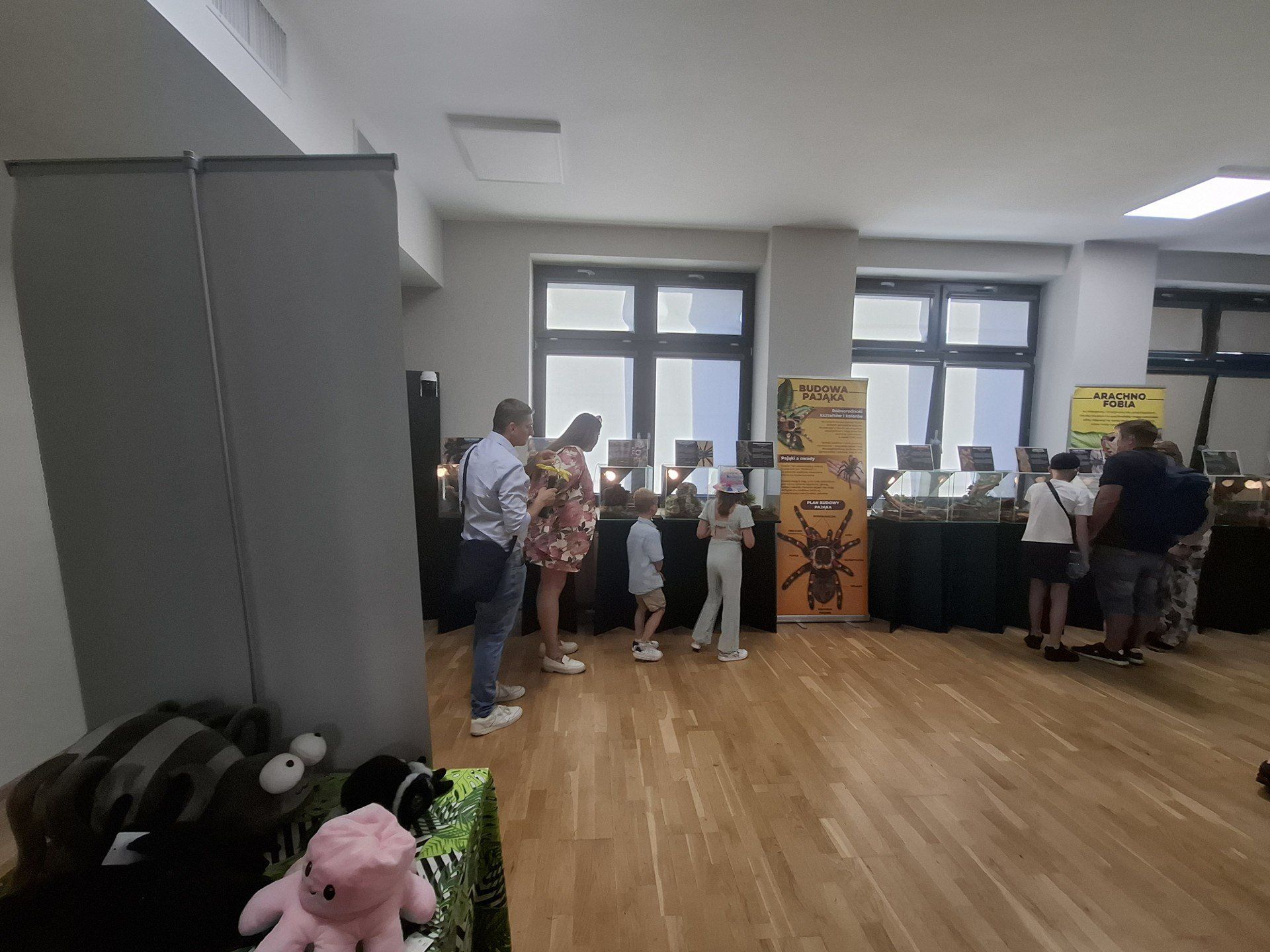 Wystawa pająków, którą warto odwiedzić. Wszystko w ramach Święta Kwiatów, Owoców i Warzyw