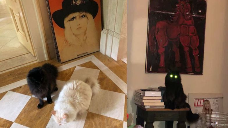 Tak mieszka Maryla Rodowicz