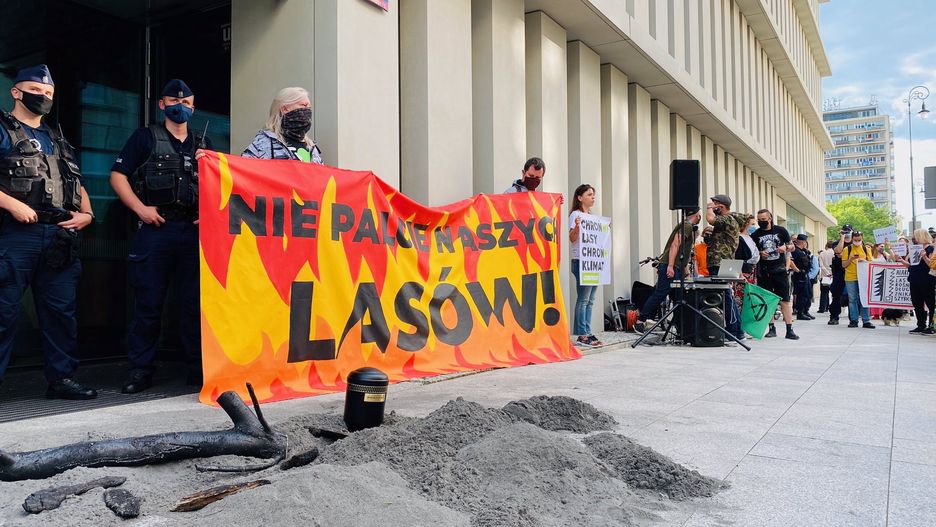 Protest przed Sejmem. "Nie palcie naszych lasów"