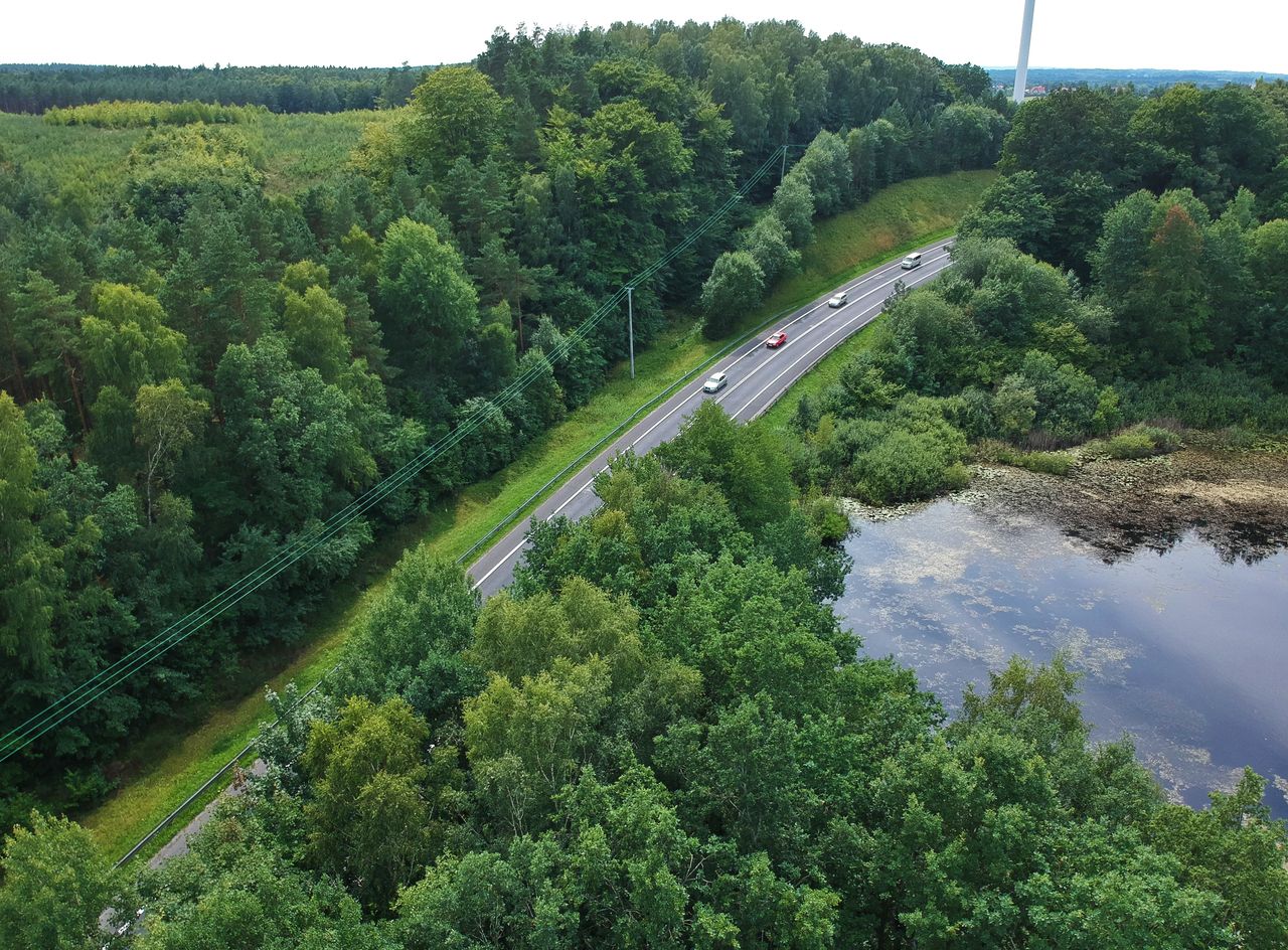 W terenie otwartym bądź w lesie na drogę może wbiec w każdej chwili zwierzę