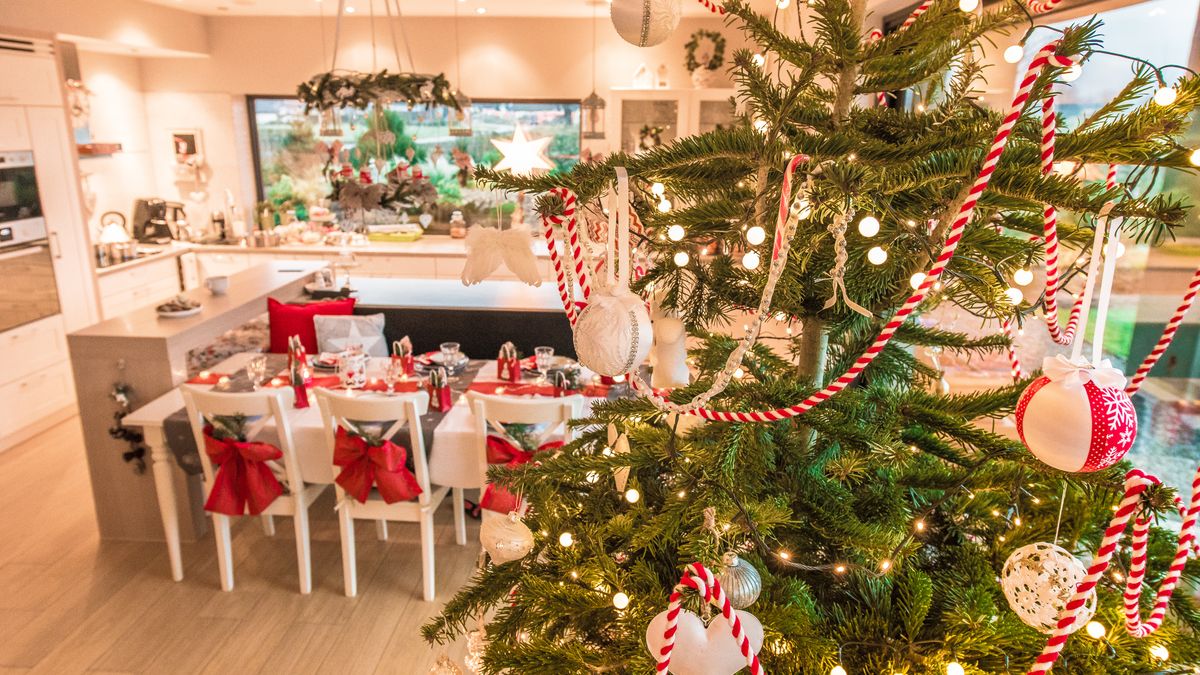 Boże Narodzenie 2024. Ile wydadzą Polacy?