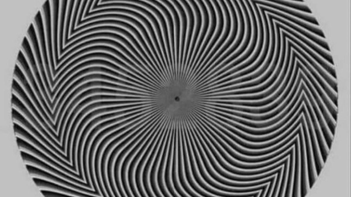 Jakie cyfry widzisz na obrazku?  