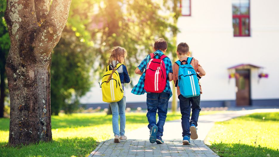 Children with rucksacks standing in the park near schoolChildren with rucksacks standing in the park near school. Pupils with books and backpacks outdoorschildren, school, backpack, rucksack, pupil, people, boy, girl, outdoors, study, learning, together, park, young, summer, sunny, books, holding, friends, knowledge, kid, elementary, bag, education, person, background, childhood, learn, student, schoolchild, back, lesson, primary, schoolboy, smart, happy, outside, standing, friendship, schoolchildren, lifestyle, group, colorful, schoolkid, casual, walking, caucasian, cheerful, sunlight, building