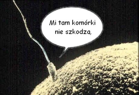 Top 5 mitów komórkowych 4