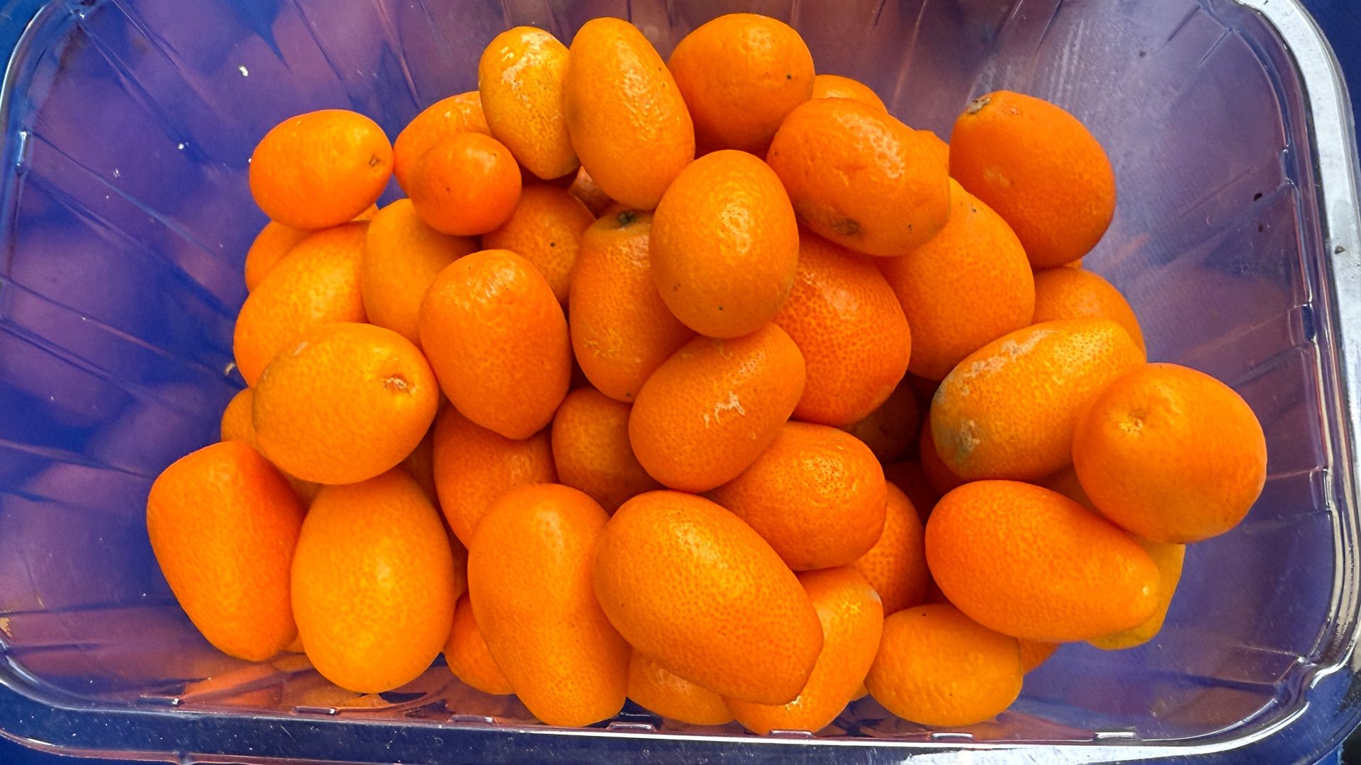 Cytrusy jesienią to zdecydowanie dobry pomysł, ale pod warunkiem, że wiemy, jak z nich korzystać.