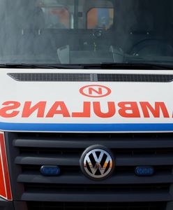 Osy zabiły pana Grzegorza. Zrozpaczona żona apeluje