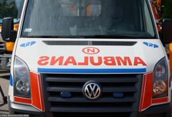 Osy zabiły pana Grzegorza. Zrozpaczona żona apeluje