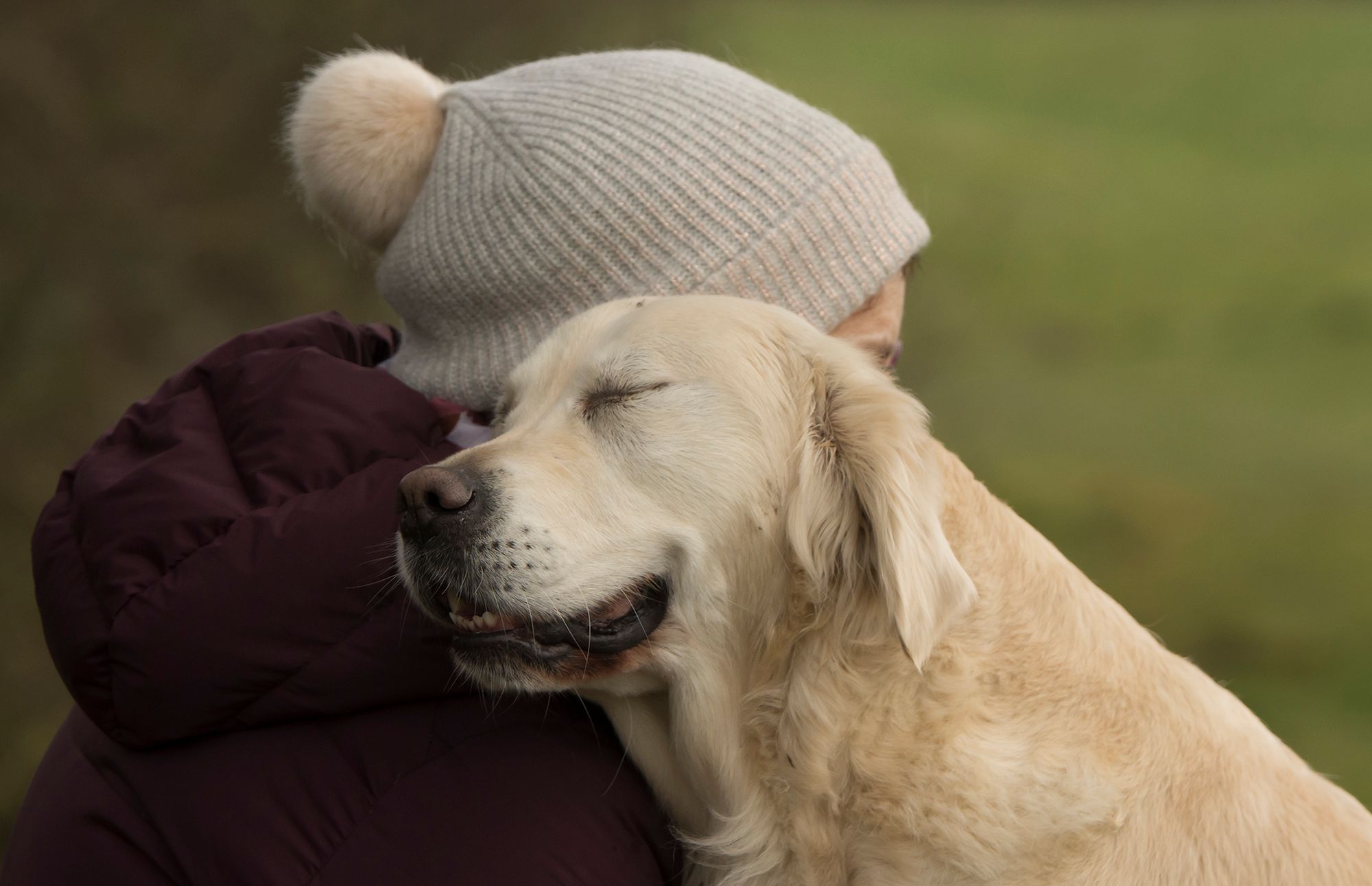 Najpiękniejsze zdjęcia psów w konkursie Dog Photographer of the Year 2018 26