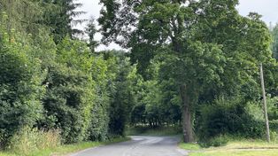 Jelenia Góra: Ulica Mickiewicza do remontu. Są korzystne oferty w przetargu
