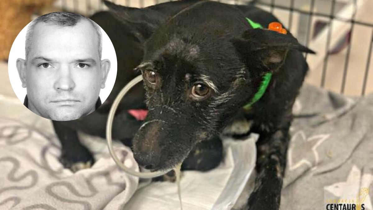 Służby poszukują Marcina Wrony