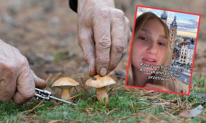 "Totalny szok". Tych polskich zwyczajów Amerykanie nie rozumieją