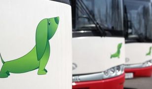 Sosnowiec. Umowa podpisana, będą nowe autobusy