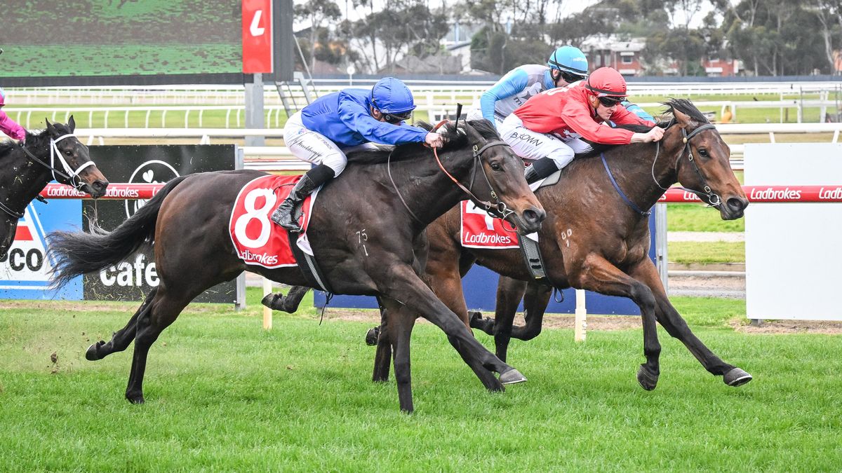 Ladbrokes Racing Club 3YO Maiden Plate
Thames ridden by Daniel Stackhouse wins the Ladbrokes Racing Club 3YO Maiden Plate at Geelong Racecourse on August 23, 2024 in Geelong, Australia. (Reg Ryan/Racing Photos via Getty Images)
Reg Ryan
thames, daniel stackhouse