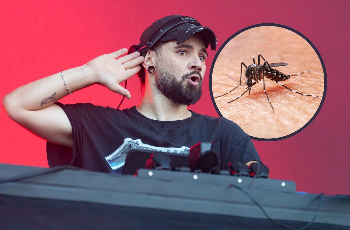 Mosquitoes losing their bite: How Skrillex's music can save summer