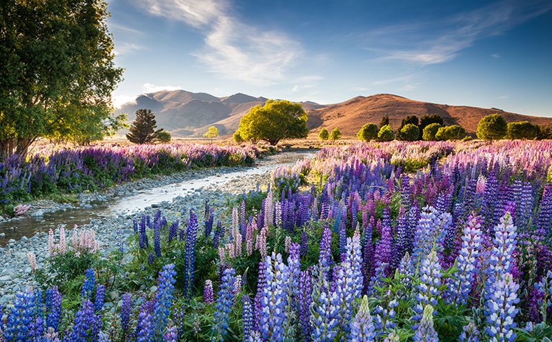 Znamy zwycięzców konkursu International Garden Photographer of the Year 2016