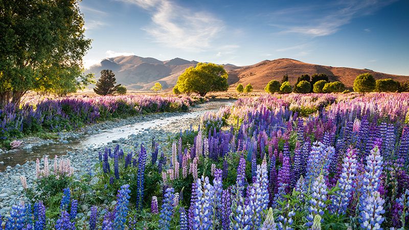Znamy zwycięzców konkursu International Garden Photographer of the Year 2016 1