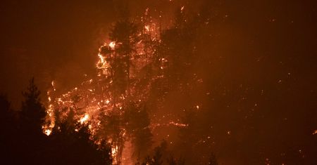 50 zabójczych pożarów wybuchło jednocześnie. Horror w Algierii