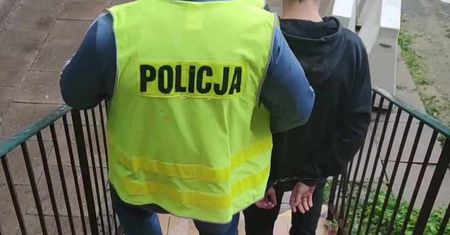 Szalony plan nastolatków z Elbląga. Całą trójką zamie się teraz sąd