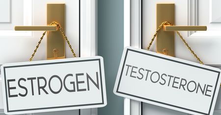 Why an Adequate Level of Testosterone Matters? — Not Only for Men