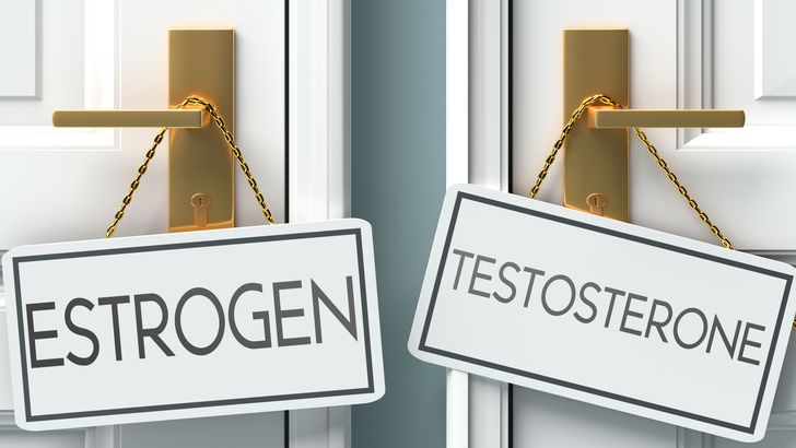 Why an Adequate Level of Testosterone Matters? — Not Only for Men