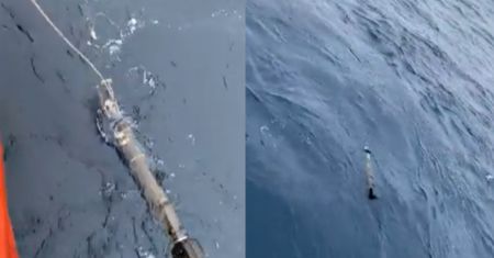 Kształtem przypominają torpedy. Ekspert wyjaśnia czym są