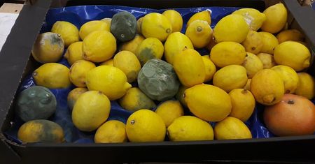 Lublin: Nietypowa „promocja” w Auchan. Zepsute owoce na ekspozycji. Sieć wyjaśnia