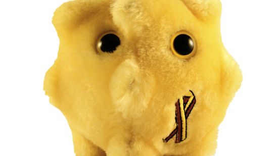 Uczeni odkryli szczepionkę na zapalenie wątroby typu C 1