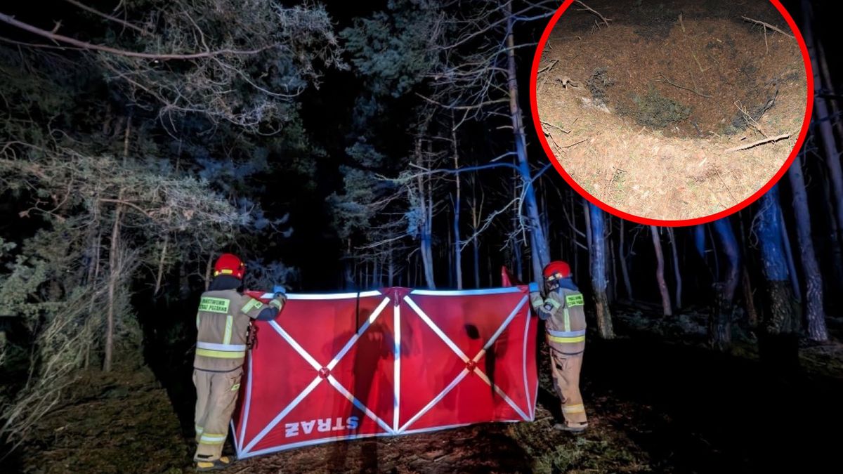 W lesie w Plecewicach doszło do eksplozji 