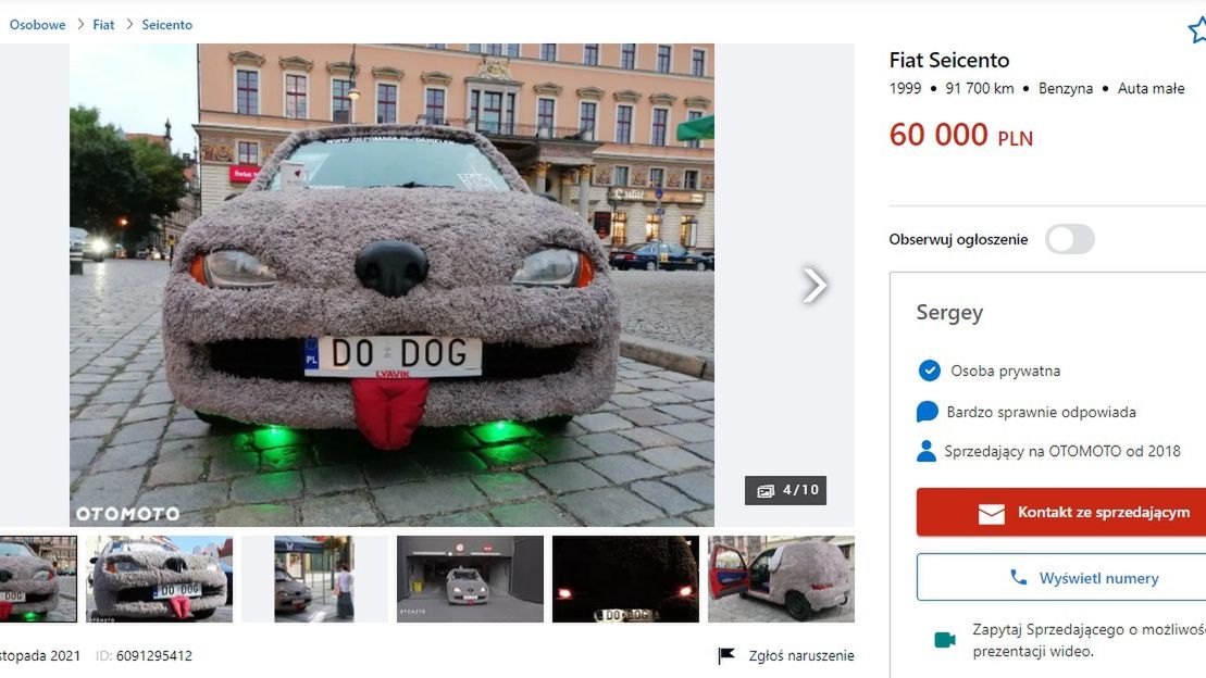 Ogłoszenie sprzedaży auta-pieska z otomoto.pl